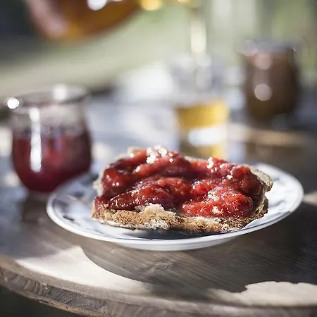 بيت ضيافة بنسيون أنغوسفارم